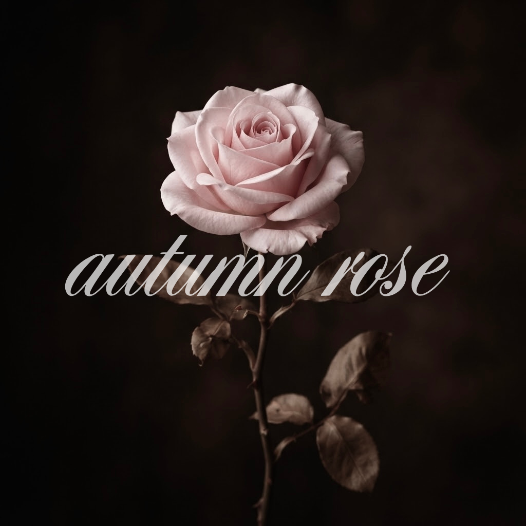 dark autumn rose